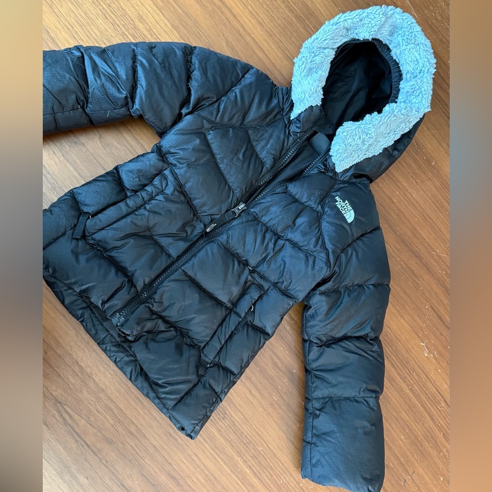 The North Face winter Down 550 jacket size 3T Girls.